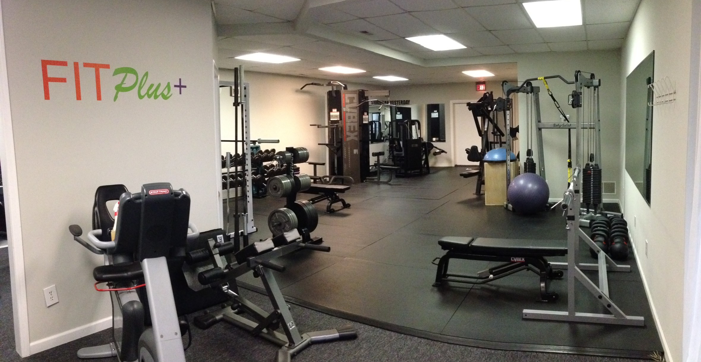 FitPlus